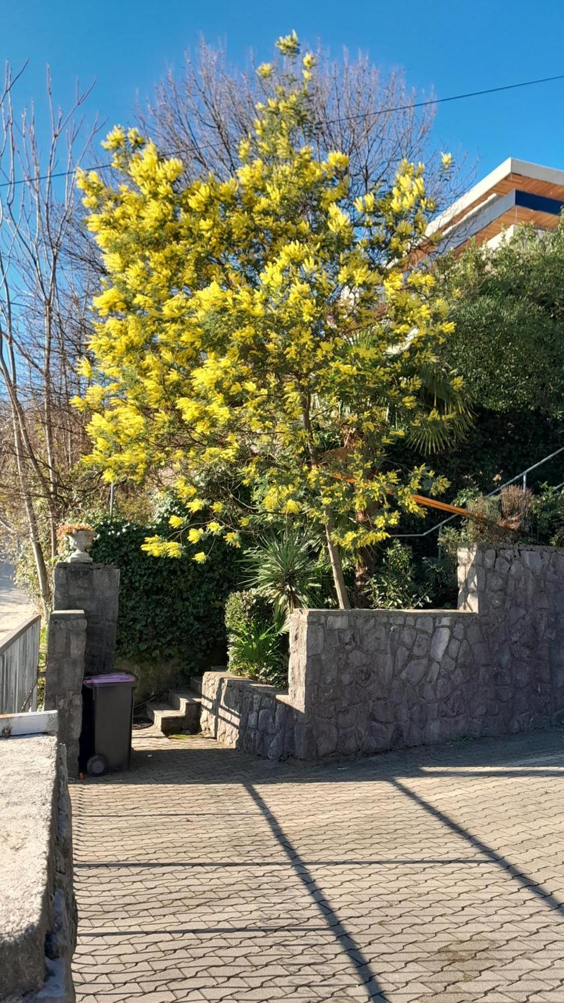 Apartment Ana Opatija Luaran gambar